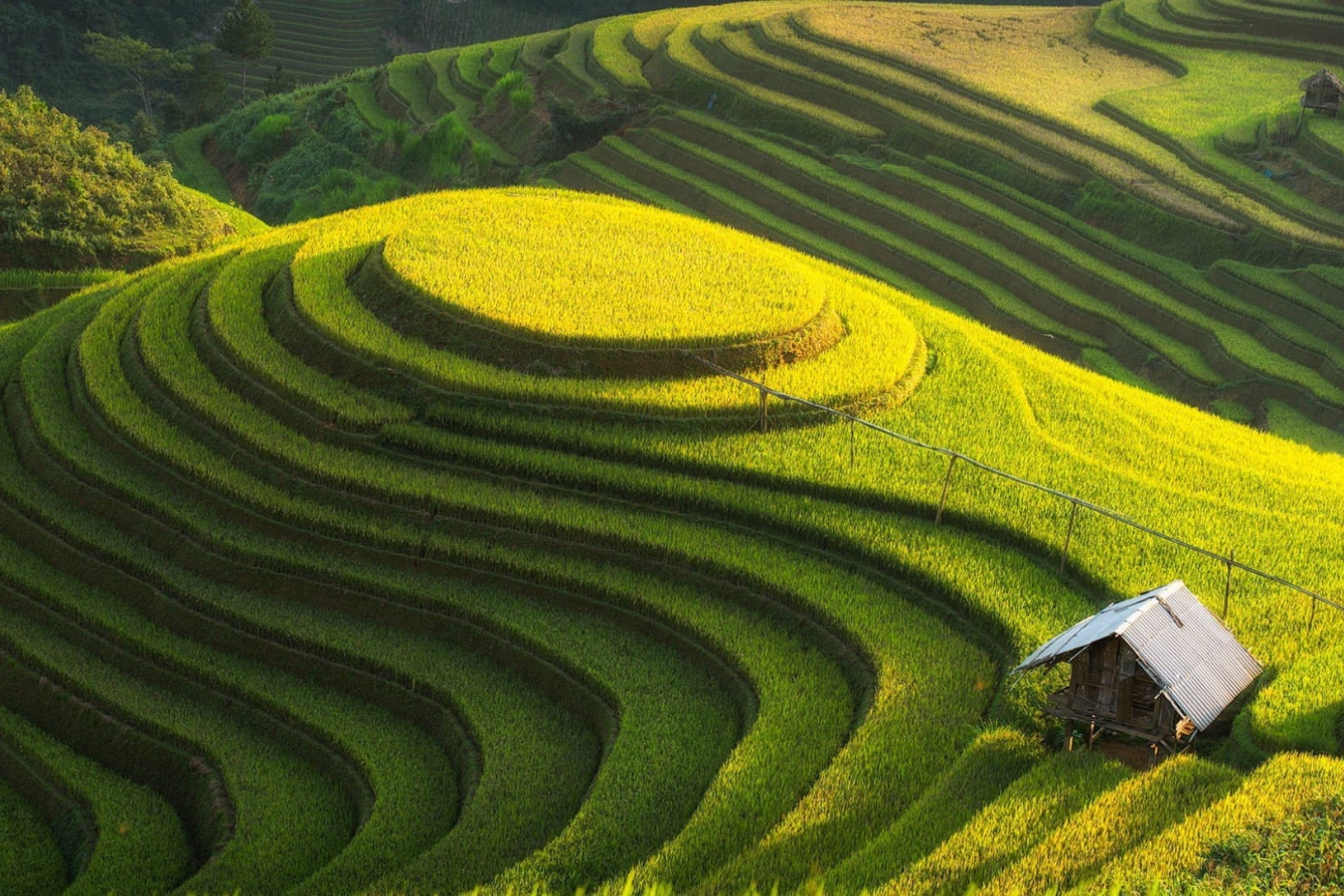 Ruộng bậc thang Long Tích